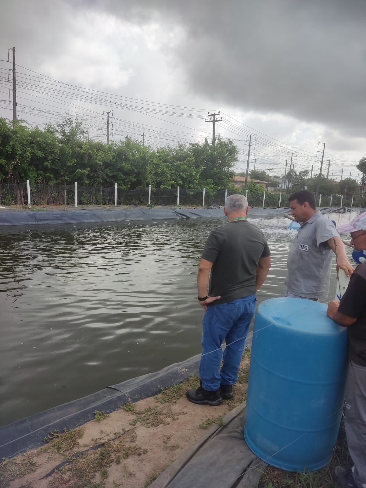 Acompanhamento Técnico 2 Acompanhamento 2