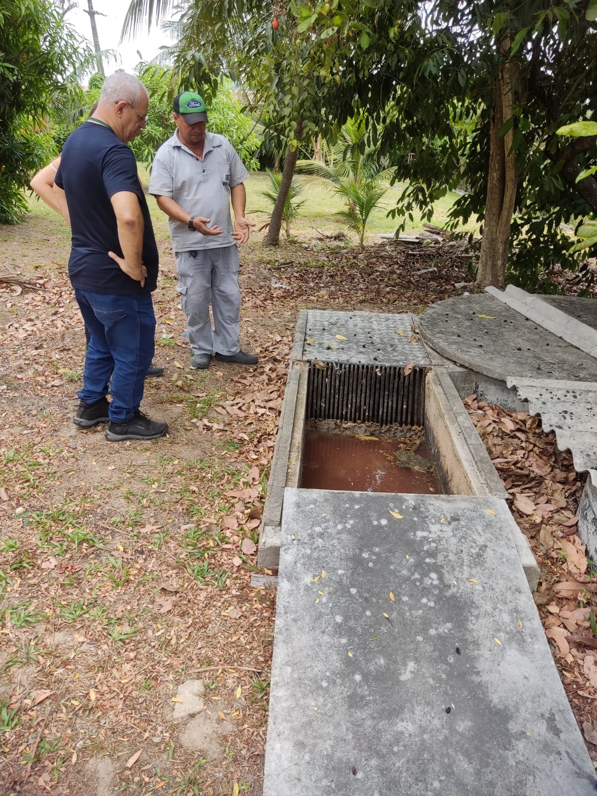 Acompanhamento Técnico 5 Acompanhamento 5